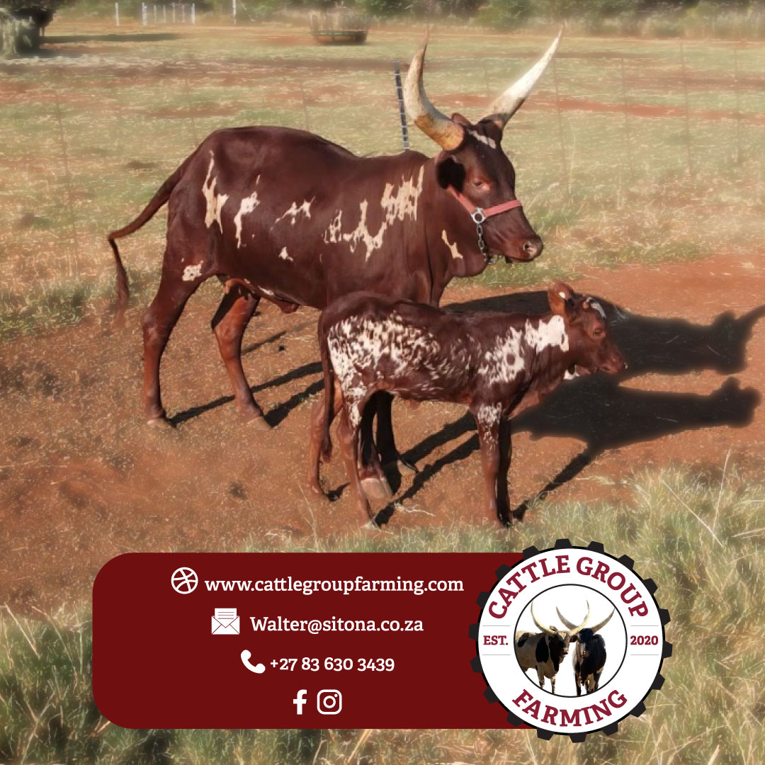 Livestock Legacy Under Threat 3 fds
