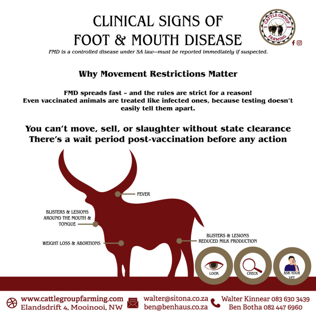 Unsderstanding Foot-and-Mouth Disease 1 cant