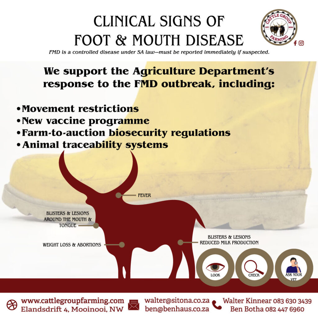 Unsderstanding Foot-and-Mouth Disease 2 dept