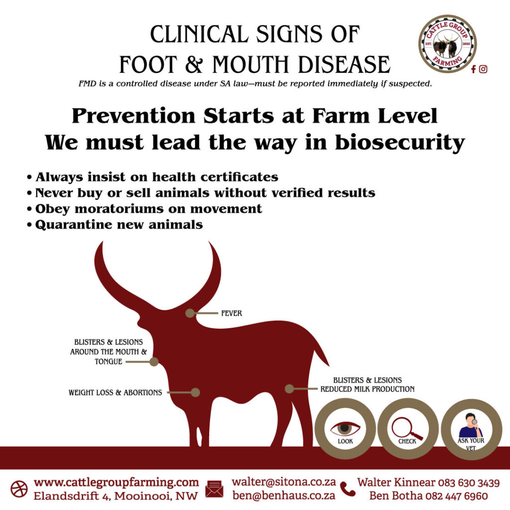 Unsderstanding Foot-and-Mouth Disease 4 prevent