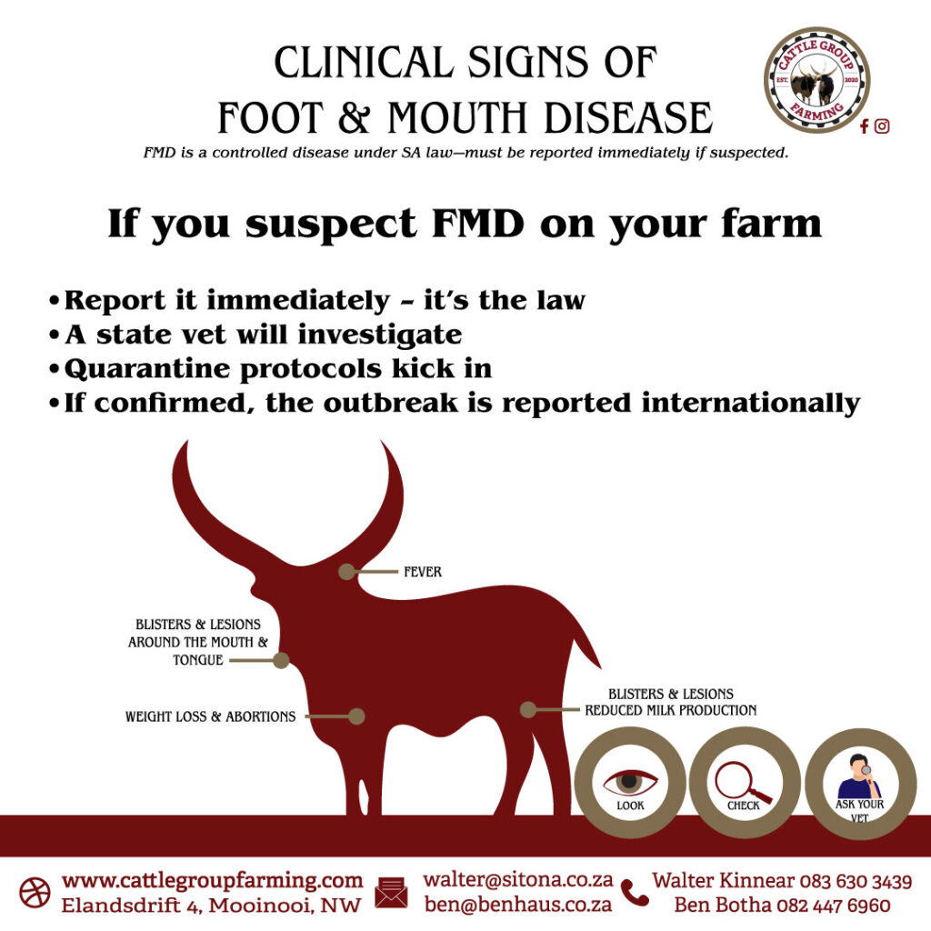 Unsderstanding Foot-and-Mouth Disease 5 suspect