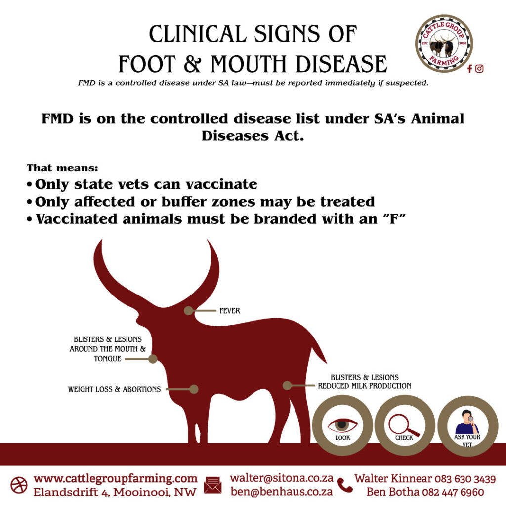 Unsderstanding Foot-and-Mouth Disease 6 vaccinate