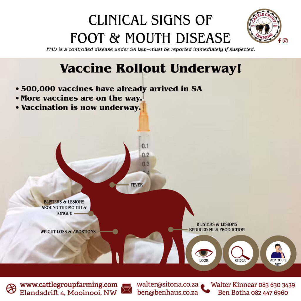 Unsderstanding Foot-and-Mouth Disease 7 vaccines